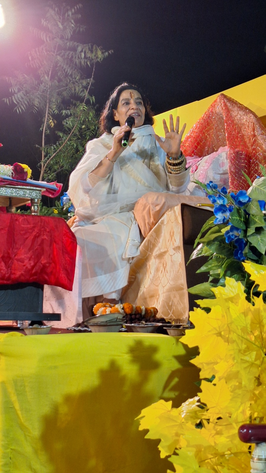 Mahashivratri 2025 in Vadodara